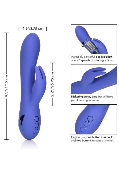 Wibrator-Beverly Hills Bunny