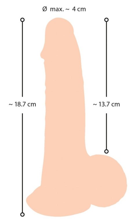 Realistyczny żylasty penis z przyssawką 19 cm